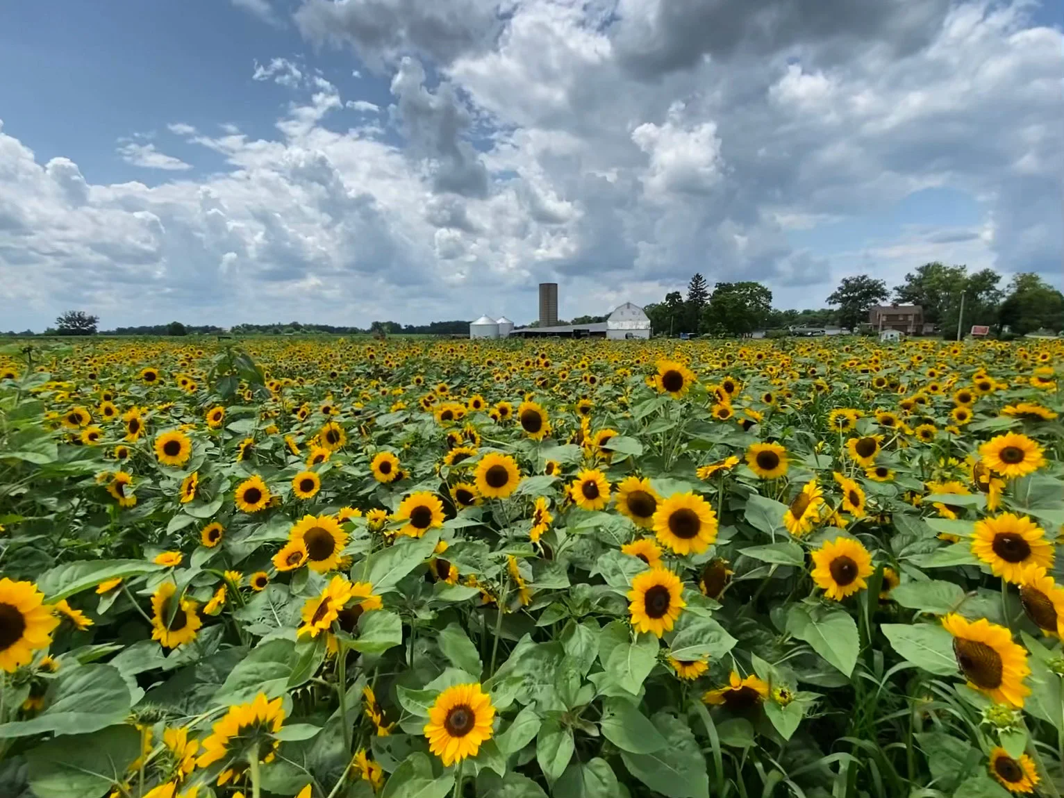 Circle S Farms in Grove City, OH