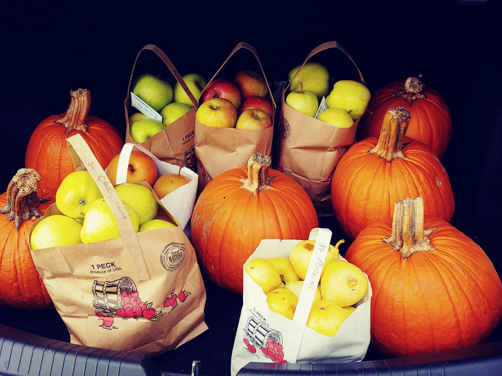 Heartland Orchard in Thornville, OH