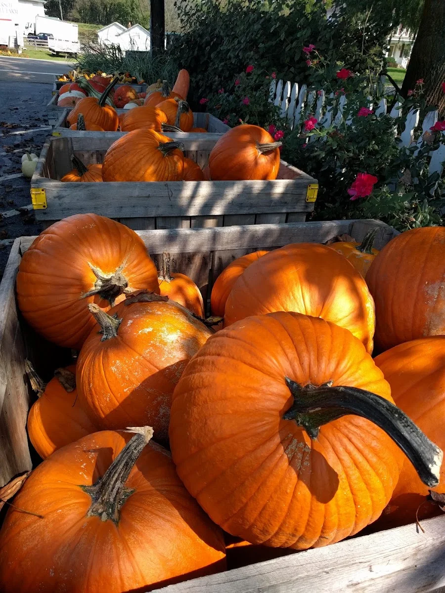 Hirsch Fruit Farm in Chillicothe, OH