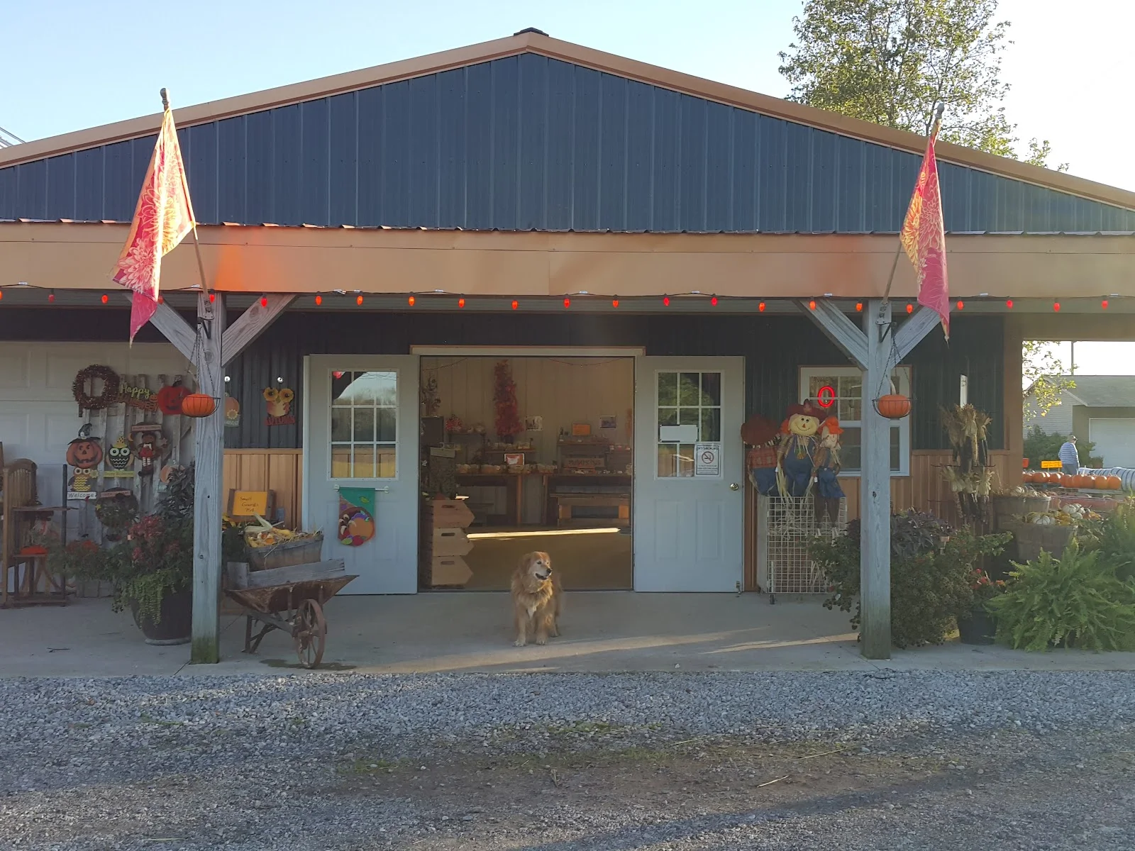 Lohstroh Family Farms in Mt Sterling, OH