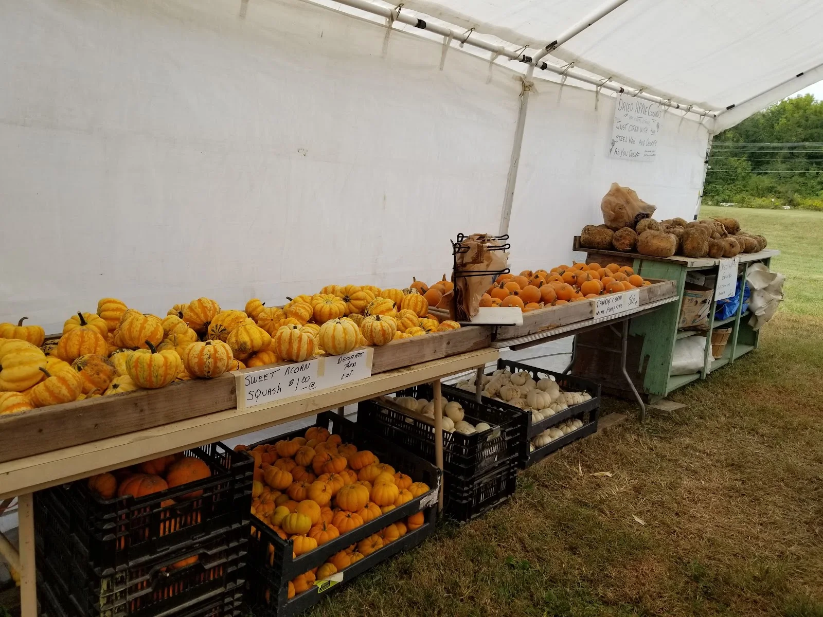 Sam's Pumpkin Patch in Pickerington, OH