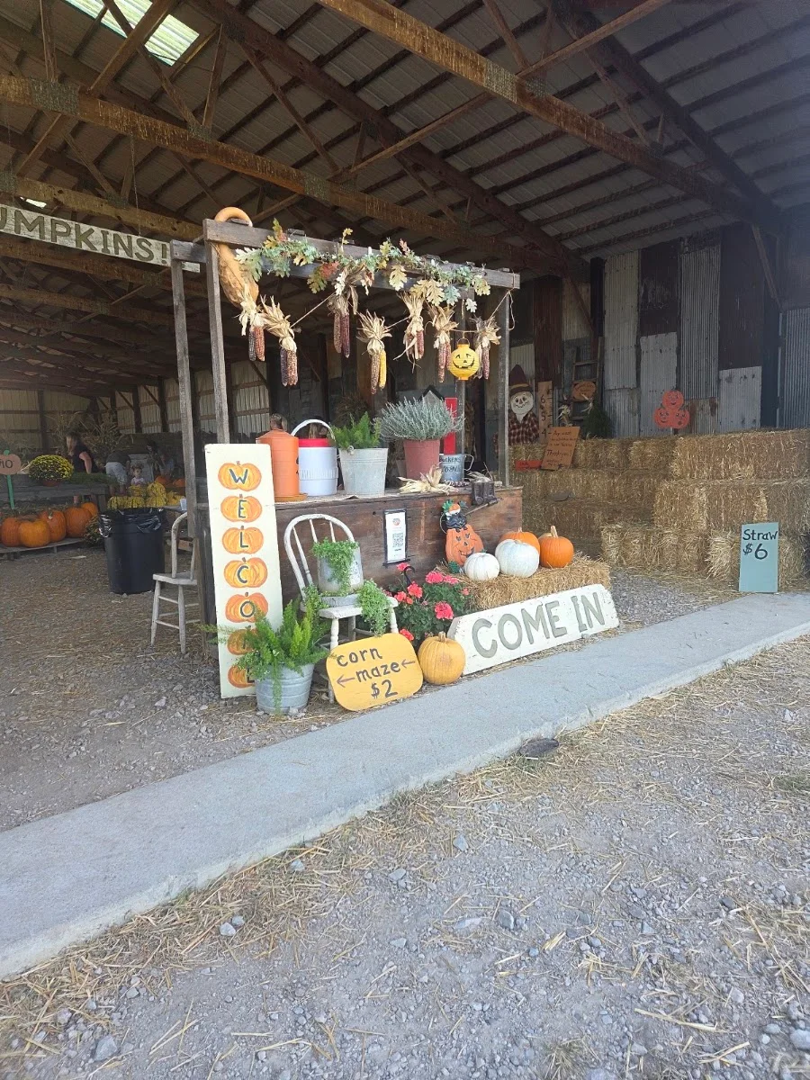 South Plymouth Pumpkins in Washington Court House, OH