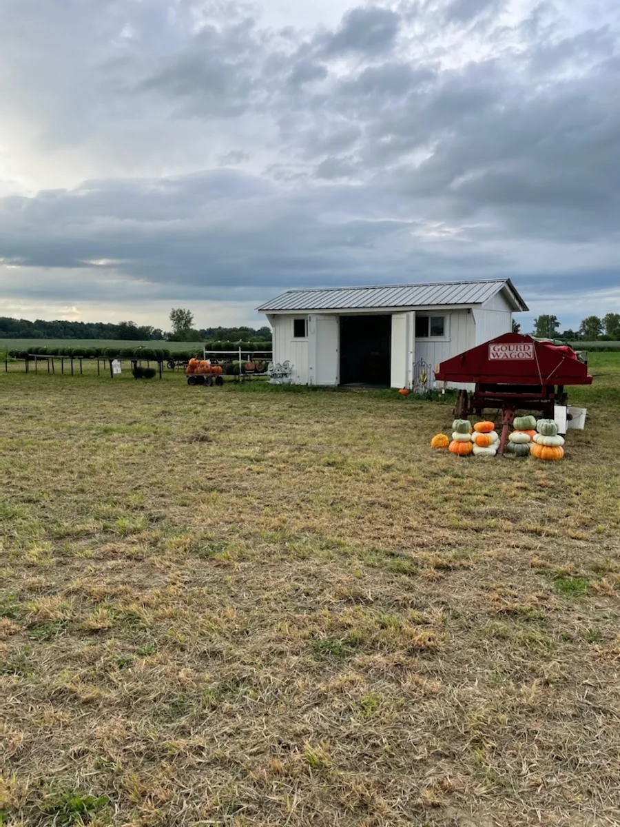 Violet View Farms in Mechanicsburg, OH
